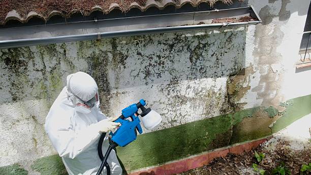 Top rated local Crawl Space Mold Remediation specialists in Huntingdon, PA